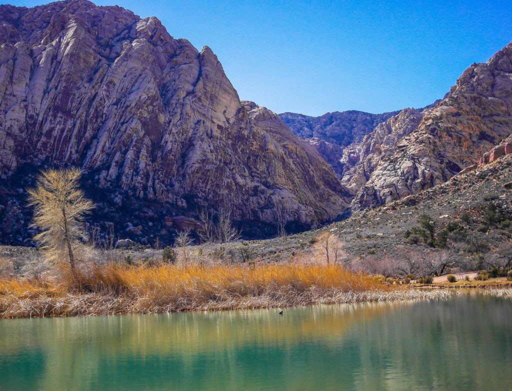 nevada-red-rocks